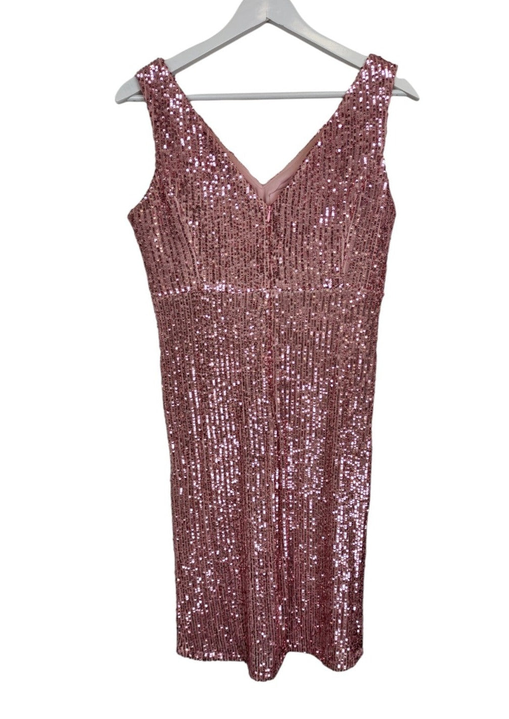 Αμπιγιέ, ελαστικό Φόρεμα NUIT VERA με Παγιέτες σε Παλ Ροζ χρώμα (Small)
