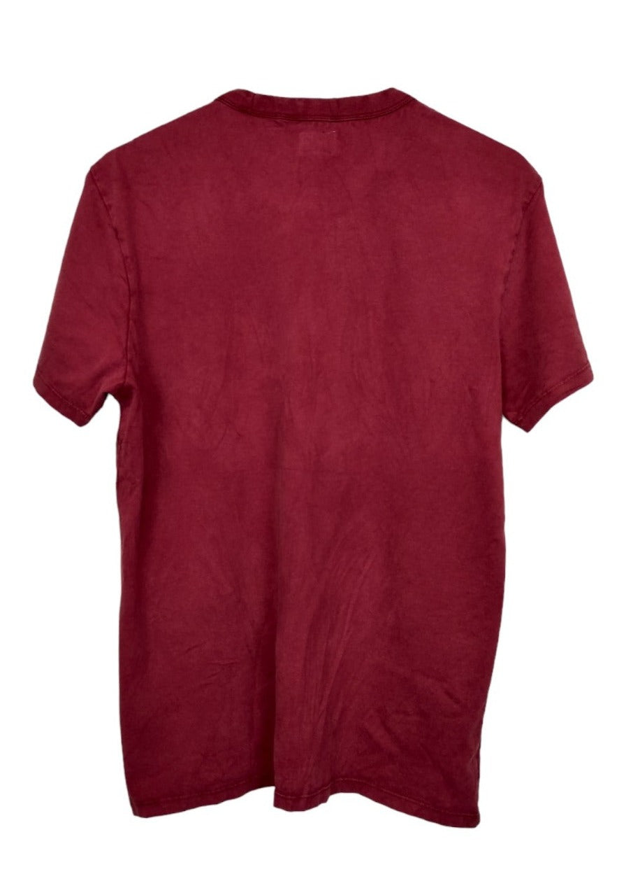 Ανδρική, Kοντομάνικη Μπλούζα -T-Shirt GUESS σε Κεραμιδί χρώμα (Medium)
