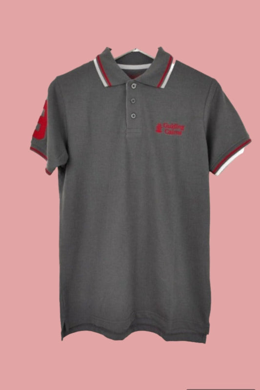 Stock Ανδρικό POLO Τ-shirt GUIDING CAIRNS σε Γκρι χρώμα