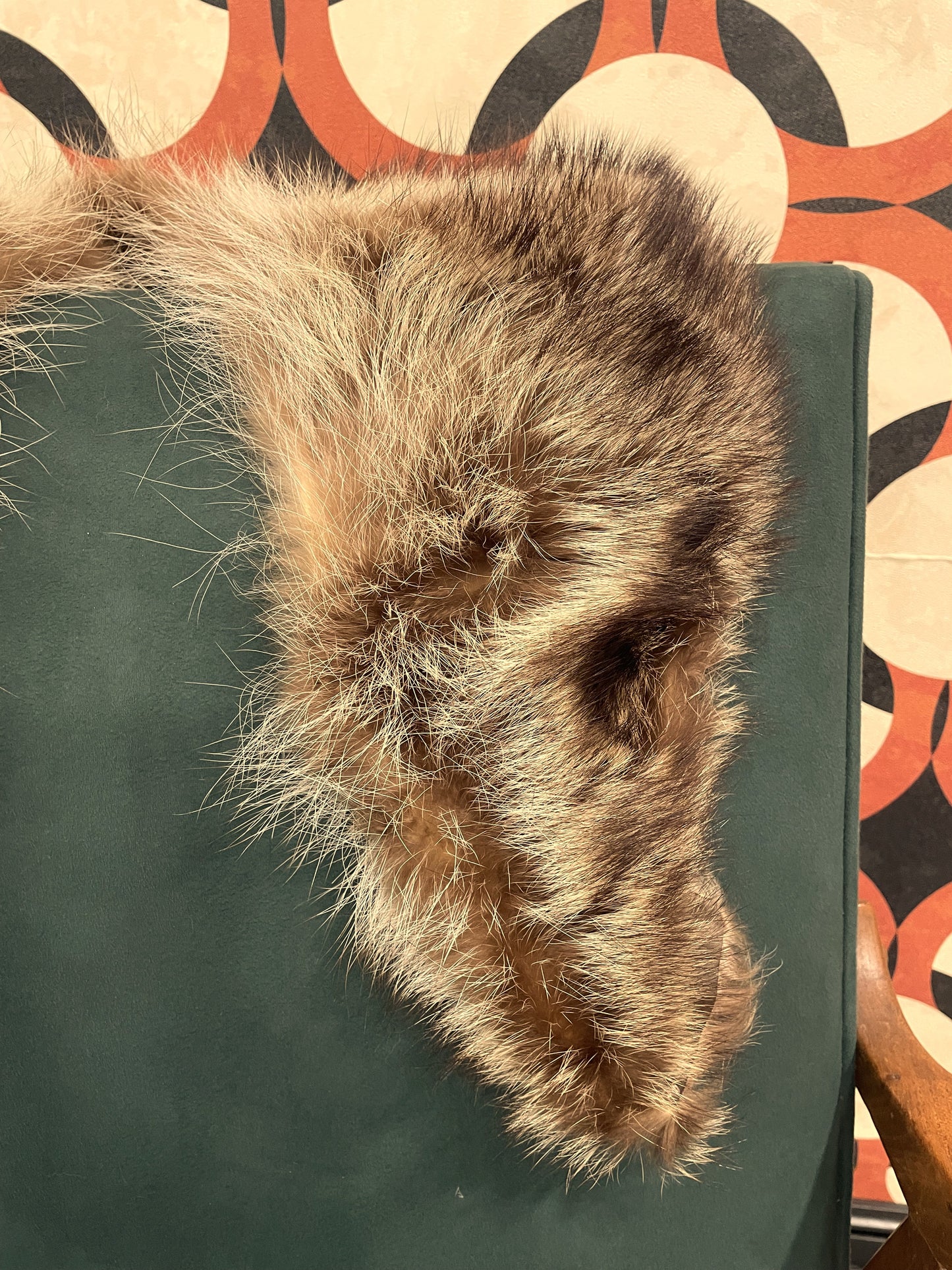 Λαιμός από Φυσική Γούνα σε ζεστό Καφέ - Μπεζ χρώμα