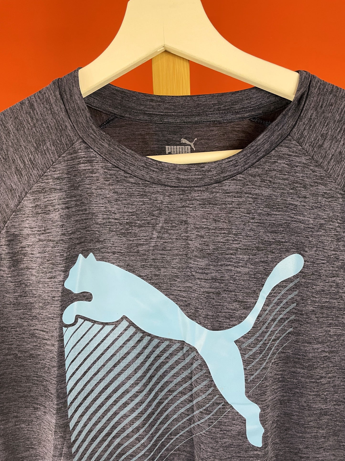 Ανδρική, Αθλητική Μπλούζα PUMA σε Μελιτζανί χρώμα (Medium)